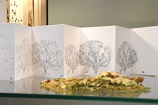 detail - Katy Macleod: Vitrine: The Notebook Drawings photo by Jon England